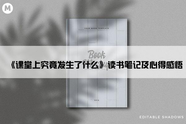 《课堂上究竟发生了什么》读书笔记及心得感悟