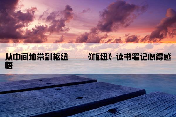 从中间地带到枢纽——《枢纽》读书笔记心得感悟