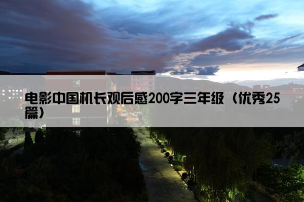 电影中国机长观后感200字三年级（优秀25篇）