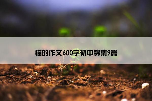 猫的作文600字初中锦集9篇