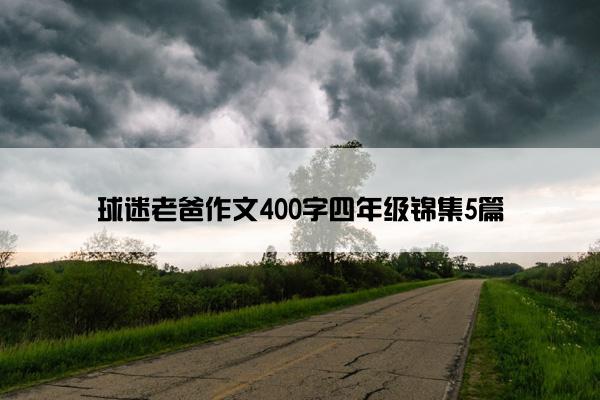 球迷老爸作文400字四年级锦集5篇