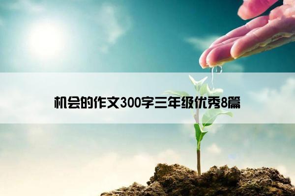 机会的作文300字三年级优秀8篇