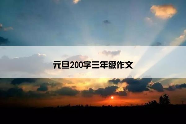 元旦200字三年级作文