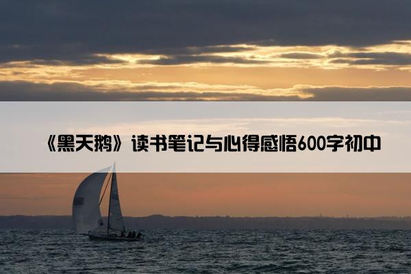 《黑天鹅》读书笔记与心得感悟600字初中