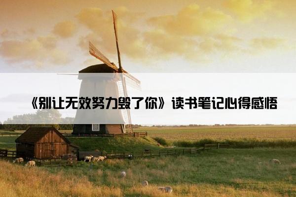 《别让无效努力毁了你》读书笔记心得感悟
