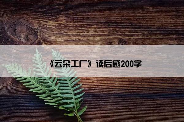 《云朵工厂》读后感200字