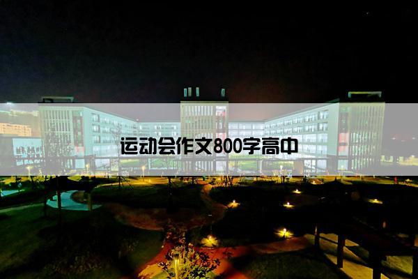 运动会作文800字高中