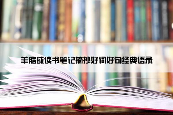 羊脂球读书笔记摘抄好词好句经典语录