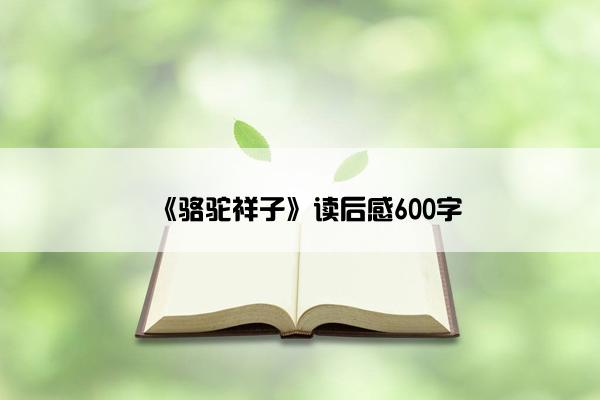《骆驼祥子》读后感600字