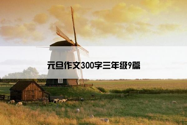 元旦作文300字三年级9篇