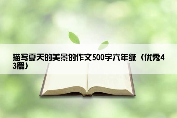 描写夏天的美景的作文500字六年级（优秀43篇）