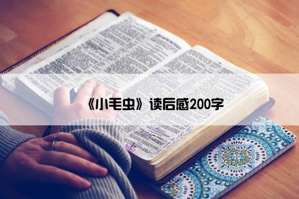 《小毛虫》读后感200字