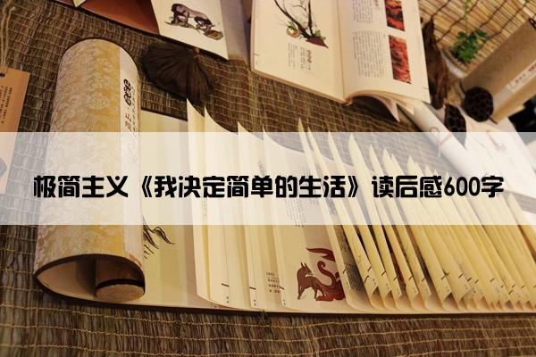极简主义《我决定简单的生活》读后感600字