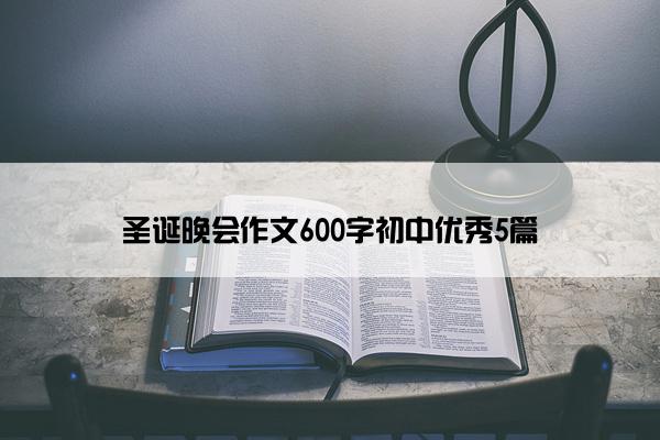 圣诞晚会作文600字初中优秀5篇