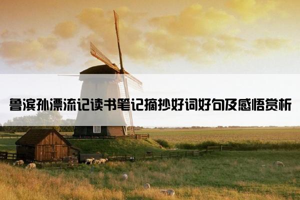 鲁滨孙漂流记读书笔记摘抄好词好句及感悟赏析