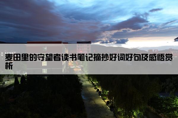 麦田里的守望者读书笔记摘抄好词好句及感悟赏析