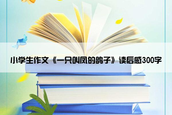 小学生作文《一只叫凤的鸽子》读后感300字