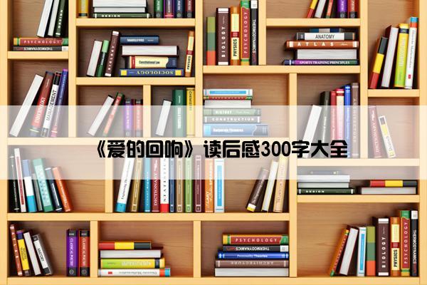 《爱的回响》读后感300字大全