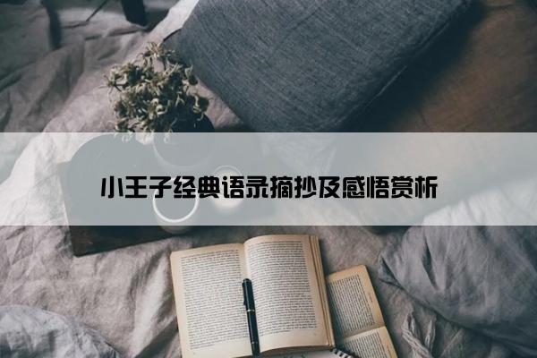 小王子经典语录摘抄及感悟赏析