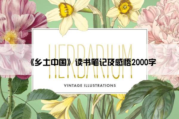 《乡土中国》读书笔记及感悟2000字