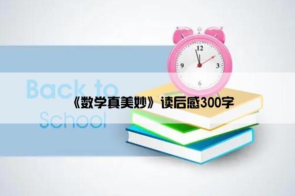 《数学真美妙》读后感300字
