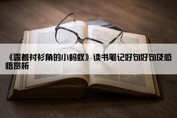 《露着衬衫角的小蚂蚁》读书笔记好句好句及感悟赏析