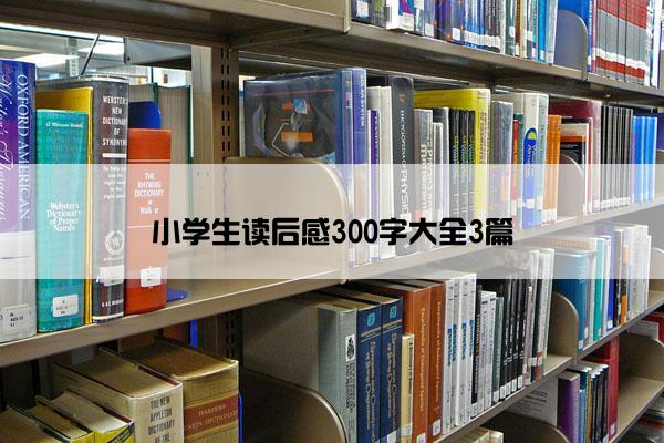 小学生读后感300字大全3篇