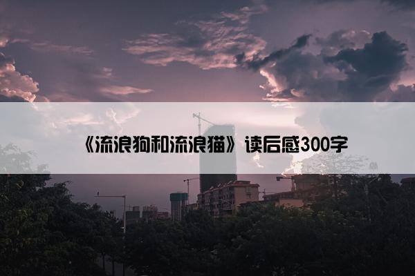 《流浪狗和流浪猫》读后感300字