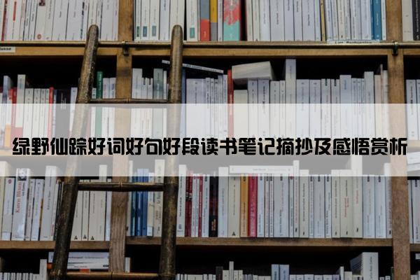 绿野仙踪好词好句好段读书笔记摘抄及感悟赏析