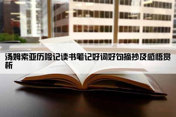 汤姆索亚历险记读书笔记好词好句摘抄及感悟赏析
