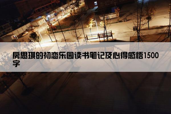 房思琪的初恋乐园读书笔记及心得感悟1500字