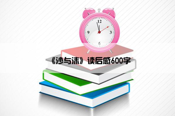 《沙与沫》读后感600字