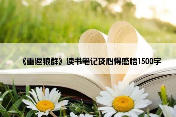 《重返狼群》读书笔记及心得感悟1500字