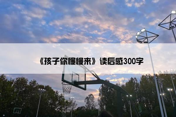 《孩子你慢慢来》读后感300字