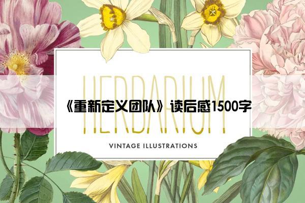 《重新定义团队》读后感1500字