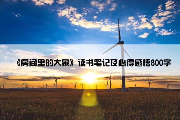 《房间里的大象》读书笔记及心得感悟800字