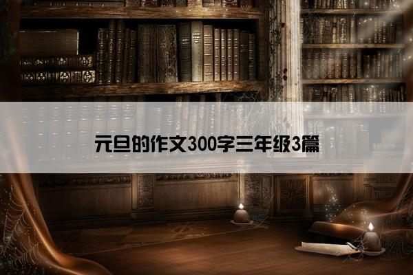 元旦的作文300字三年级3篇