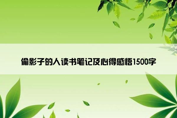 偷影子的人读书笔记及心得感悟1500字