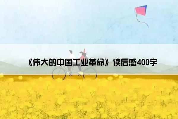 《伟大的中国工业革命》读后感400字