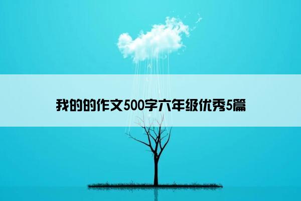 我的的作文500字六年级优秀5篇