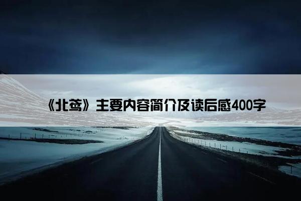 《北鸢》主要内容简介及读后感400字