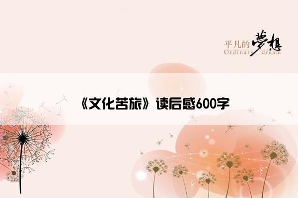 《文化苦旅》读后感600字