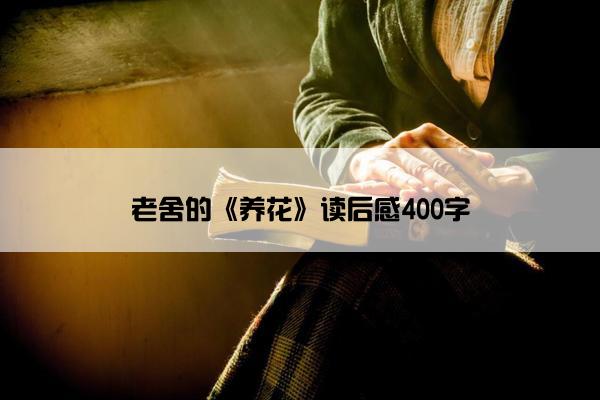 老舍的《养花》读后感400字