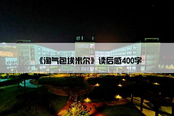 《淘气包埃米尔》读后感400字