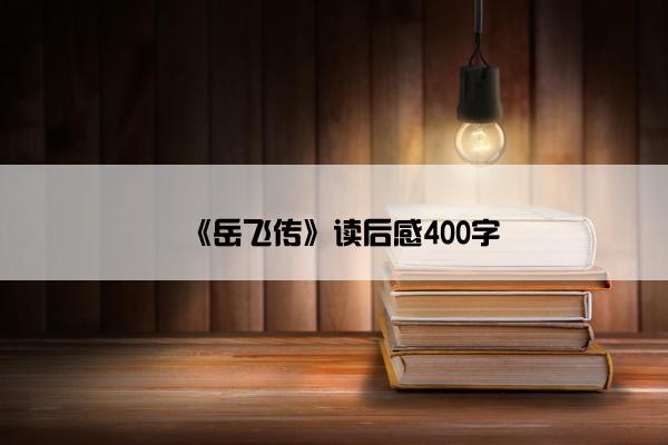 《岳飞传》读后感400字