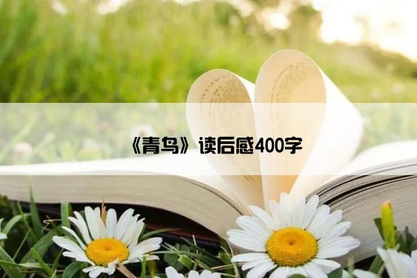《青鸟》读后感400字