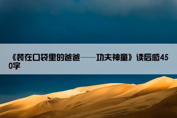 《装在口袋里的爸爸——功夫神童》读后感450字