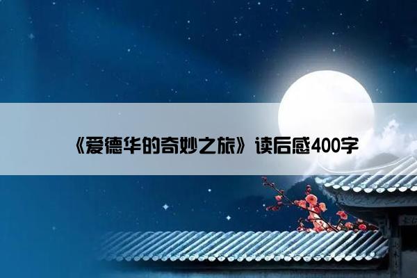 《爱德华的奇妙之旅》读后感400字