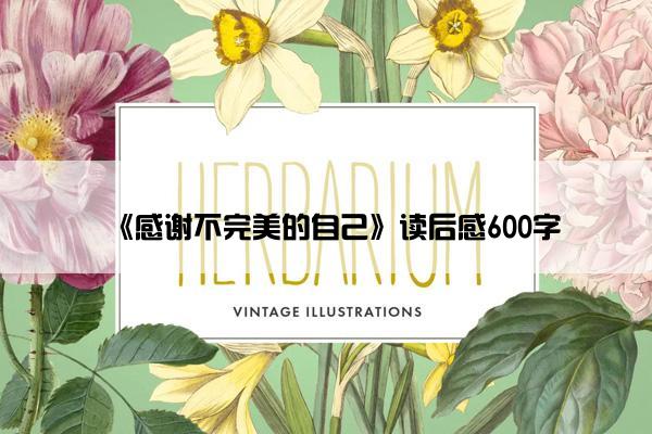 《感谢不完美的自己》读后感600字