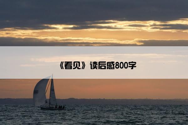 《看见》读后感800字
